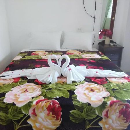 Matus Guest House San Ignacio Bagian luar foto